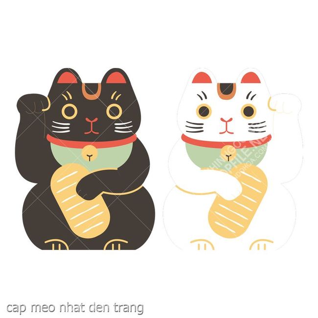cap meo nhat den trang